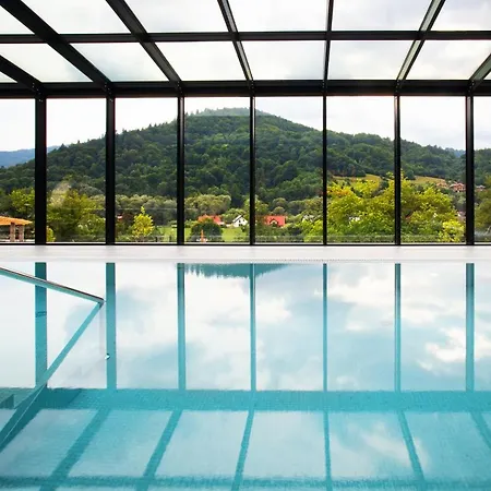 Hotel Beskid Balneo Medical & Piwniczna-Zdroj