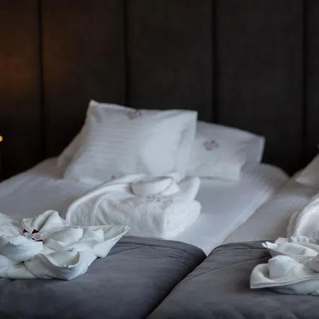 Beskid Balneo Medical & Szálloda 4*