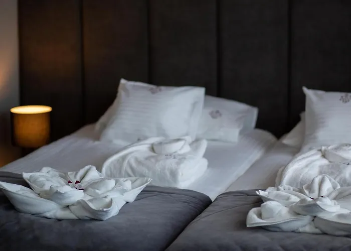 Beskid Balneo Medical & ホテル 4*