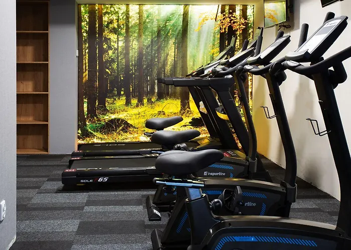 Beskid Balneo Medical & ホテル Piwniczna-Zdroj